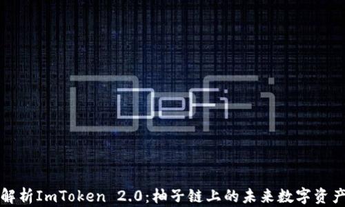 
深入解析ImToken 2.0：柚子链上的未来数字资产钱包