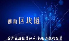 国产区块链虚拟币：机遇与挑战分析