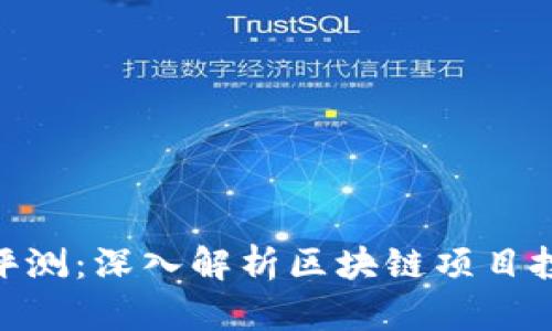 Tokenim评测：深入解析区块链项目投资的未来