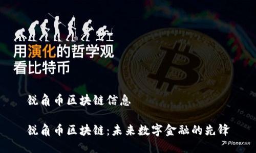 锐角币区块链信息

锐角币区块链：未来数字金融的先锋