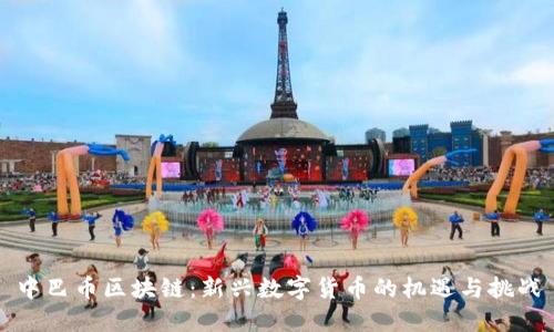 中巴币区块链：新兴数字货币的机遇与挑战