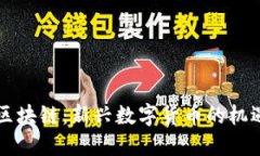 中巴币区块链：新兴数字货币的机遇与挑战