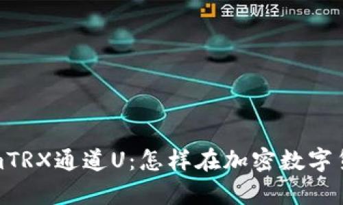 : 全面解析tokenimTRX通道U：怎样在加密数字货币交易中实现盈利