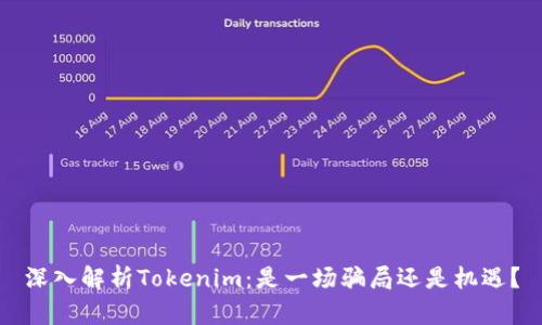 深入解析Tokenim：是一场骗局还是机遇？