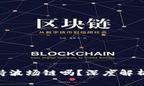 Tokenim支持波场链吗？深度解析与应用前景