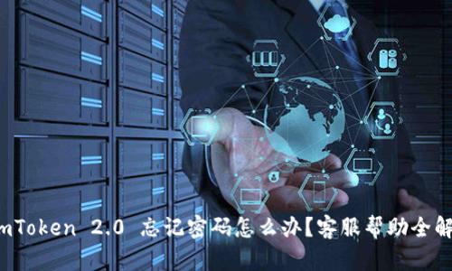  imToken 2.0 忘记密码怎么办？客服帮助全解析