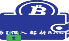 区块链BACC是什么币？深入解析BACC币的特性与应用