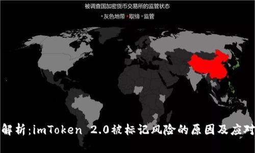 深入解析：imToken 2.0被标记风险的原因及应对策略