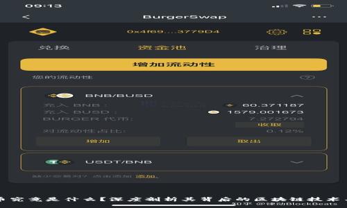 锥卡币究竟是什么？深度剖析其背后的区块链技术与应用