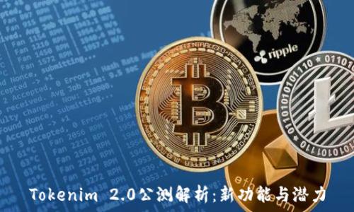  
Tokenim 2.0公测解析：新功能与潜力
