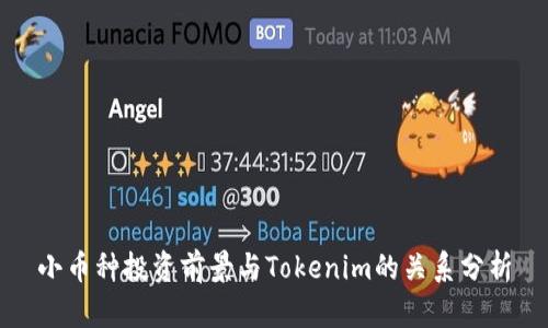 小币种投资前景与Tokenim的关系分析