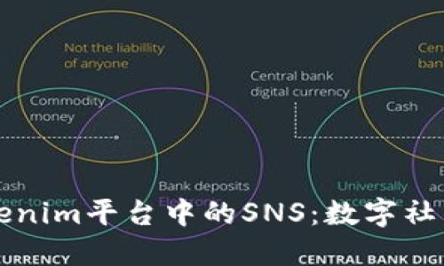 深入了解Tokenim平台中的SNS：数字社交网络的未来