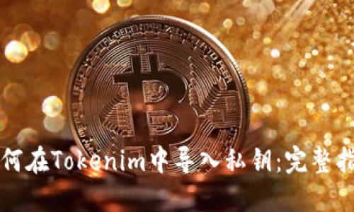 如何在Tokenim中导入私钥：完整指南